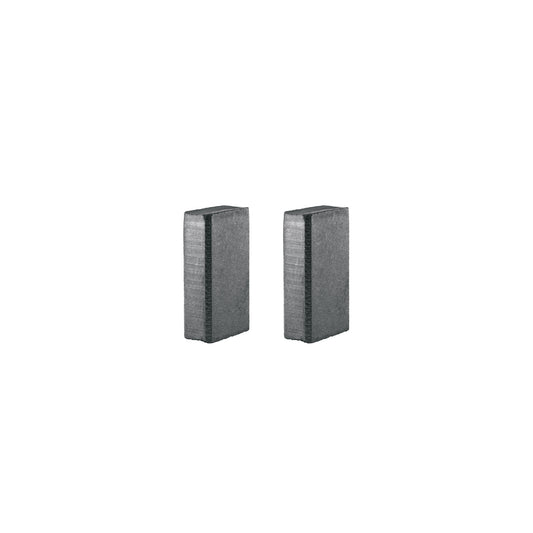 Bolsa con 2 carbones de repuesto para ROTO-1/2N9, TRUPER