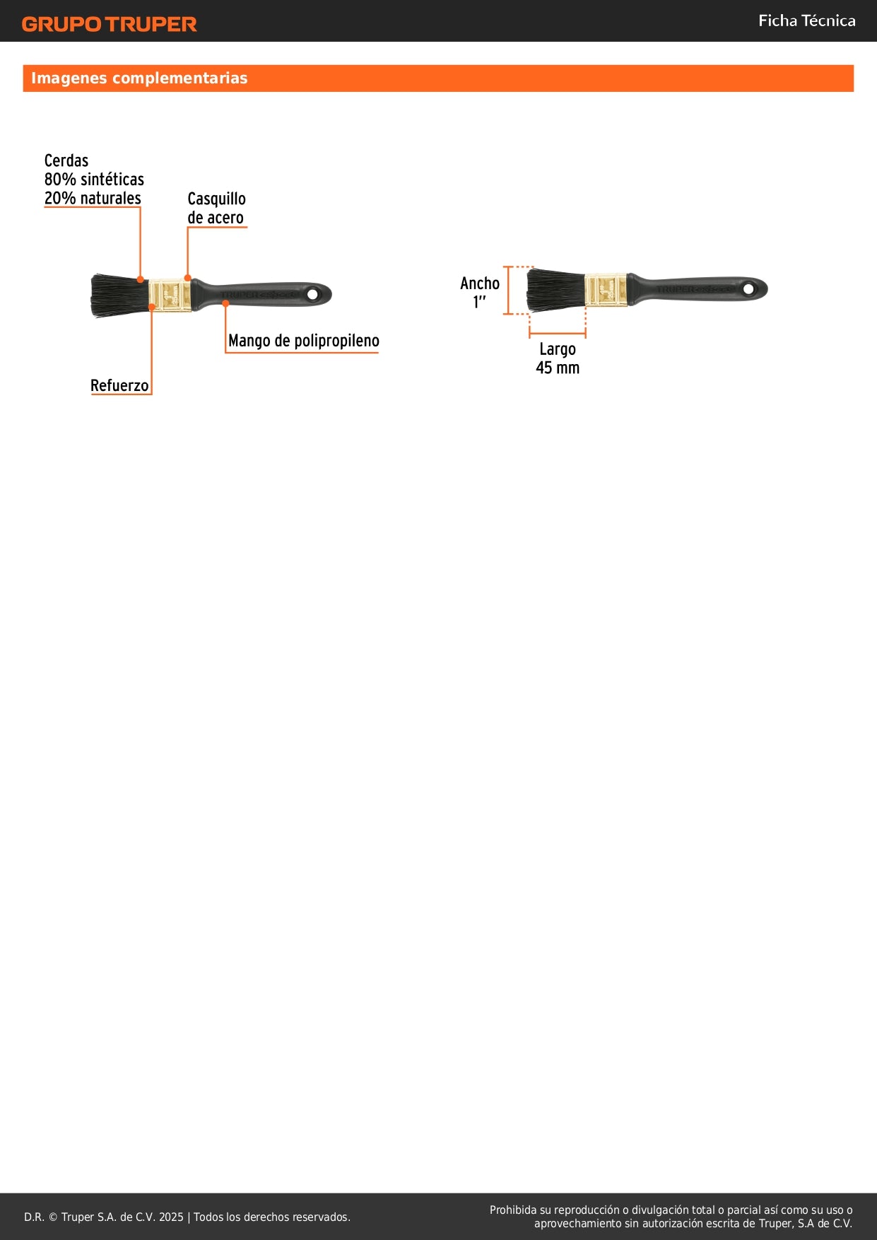 Brocha Profesional 1 Pulgada Truper Expert BRT-1X - Cerdas Sintéticas y Naturales para Pintura Uniforme en Concreto, Metal, Estuco y Madera