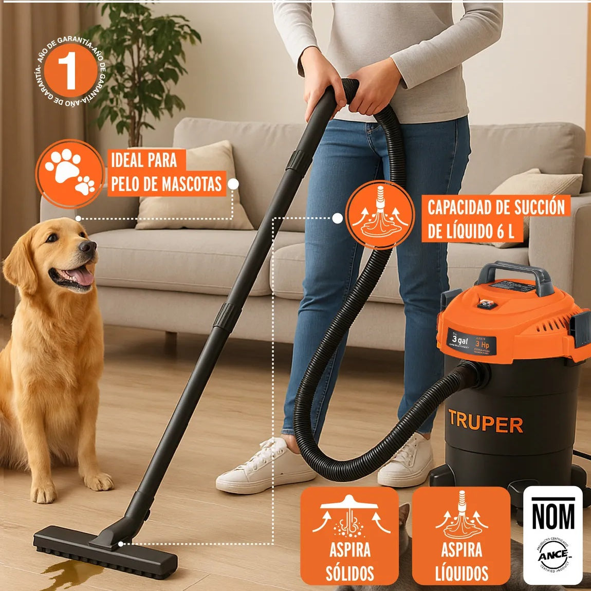 Aspiradora de sólidos y líquidos, 3 gal, plástica, negra