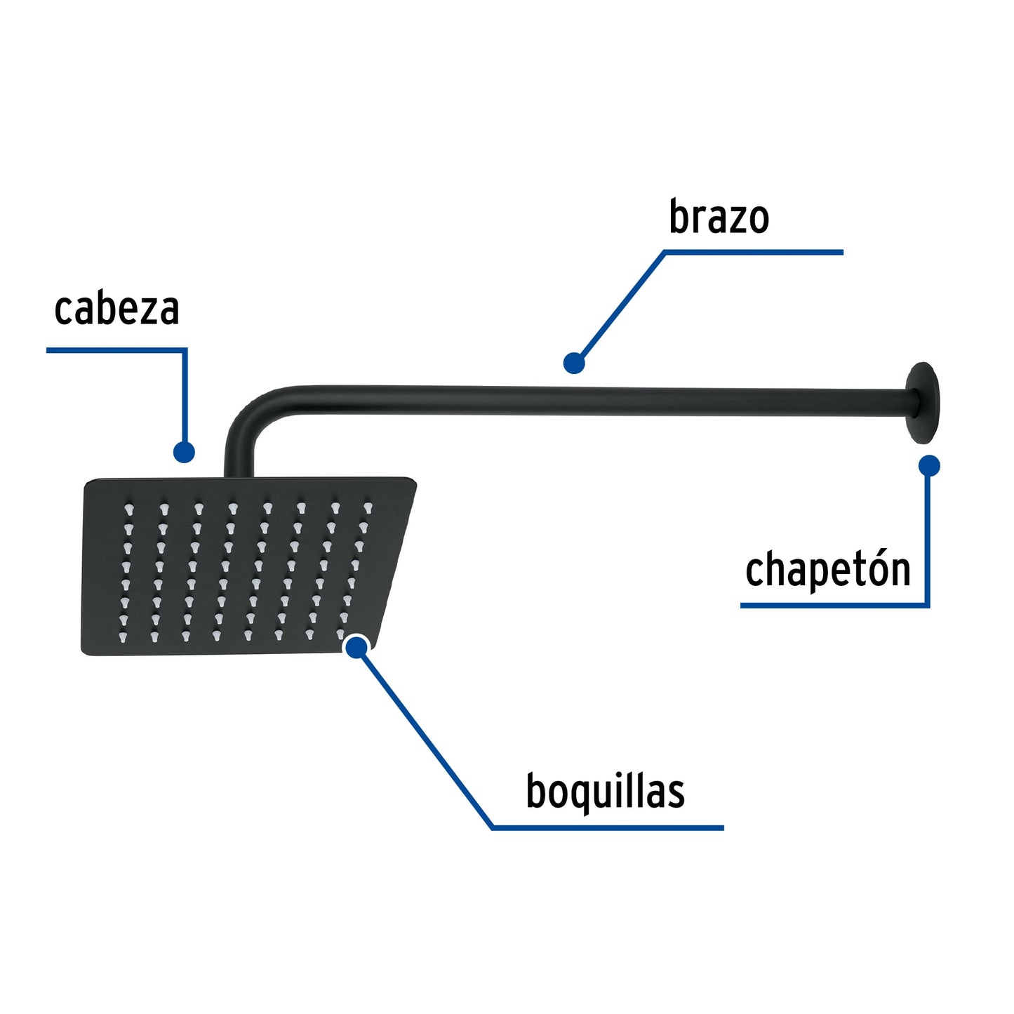 Regadera Cuadrada 8 Pulgadas Acero Inoxidable con Brazo Negro TÚBIG FOSET - Regadera de Ducha
