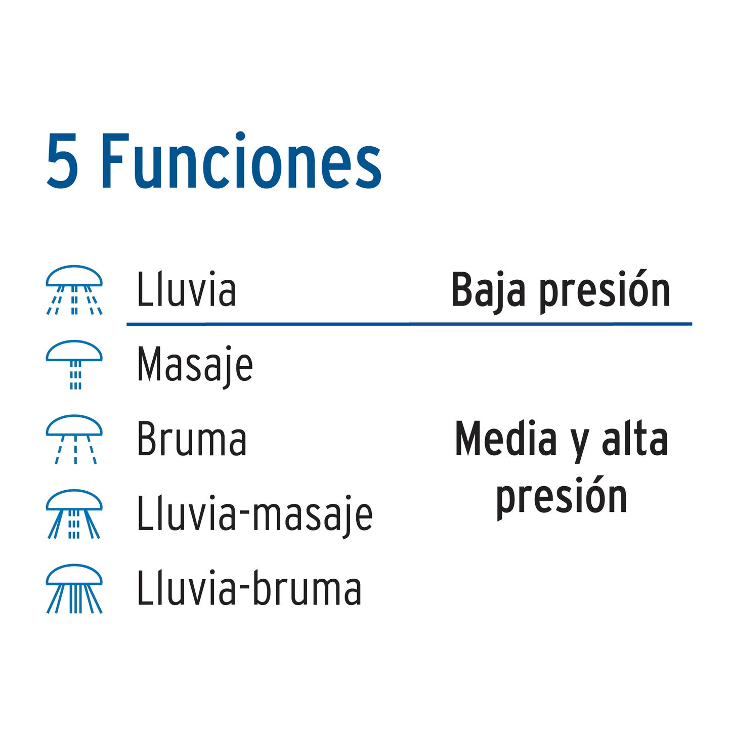 Regadera para Baño 5 Funciones con Brazo y Chapetón 3-1/4" FOSET AQUA
