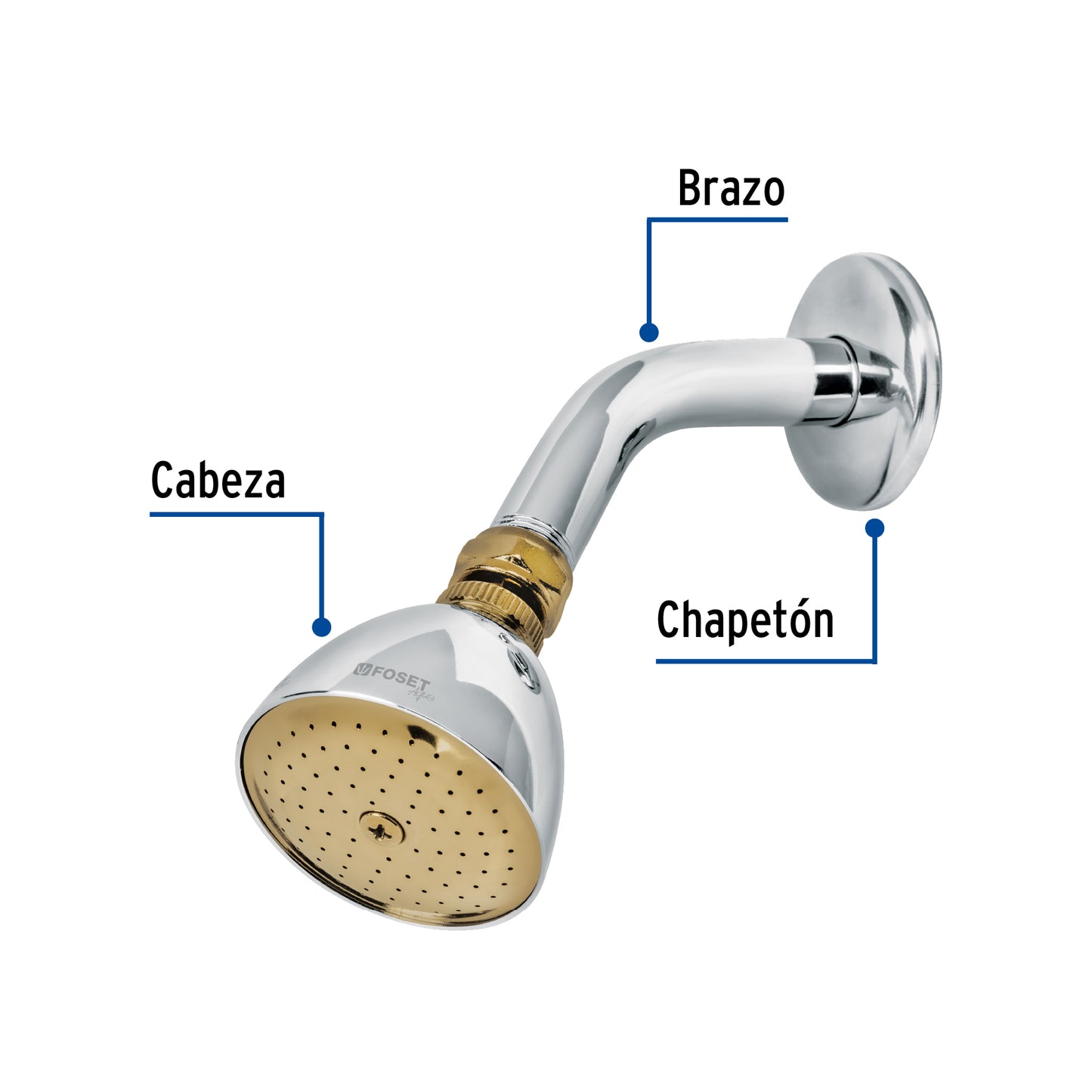 Regadera cónica 2-1/2",metálica, brazo y chapetón, cromo-oro